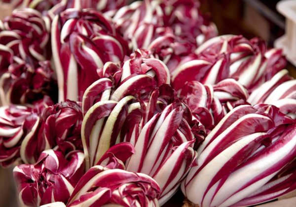terreno agricolo in vendita a Scorzè in zona Cappella