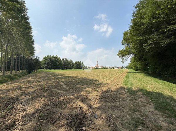 terreno agricolo in vendita a Scorzè in zona Rio San Martino