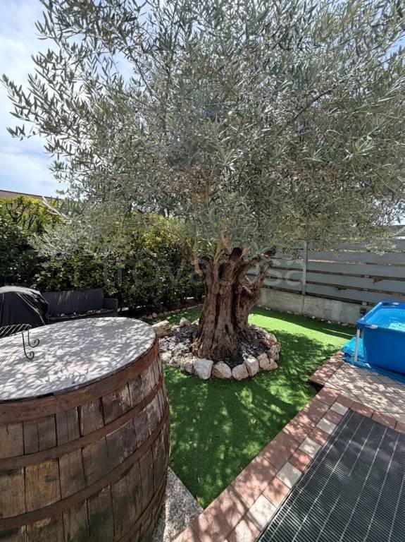 appartamento in vendita a Scorzè