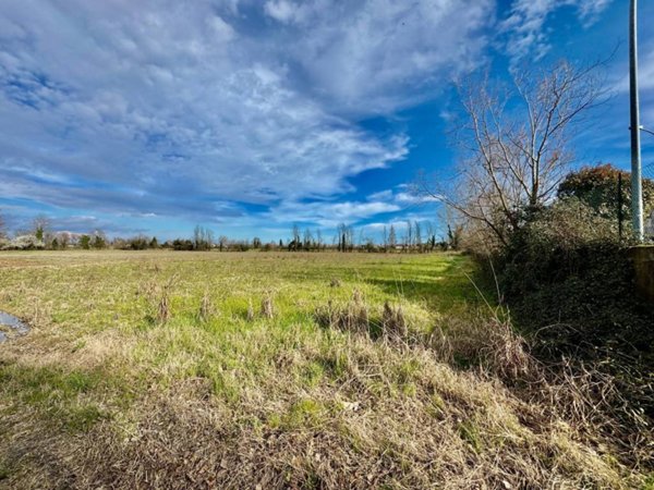 terreno agricolo in vendita a Spinea