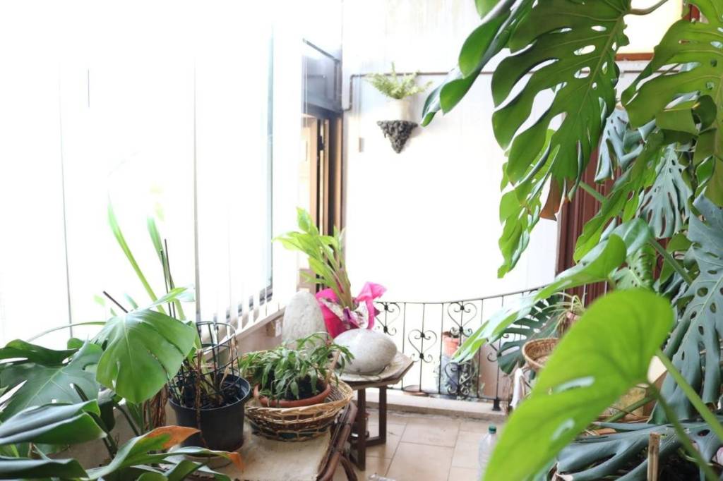 casa indipendente in vendita a Spinea