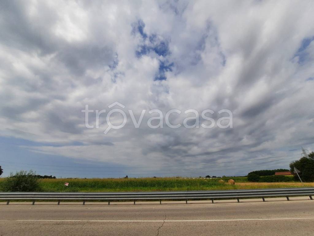 terreno agricolo in vendita a Spinea