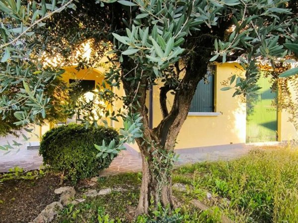 casa indipendente in vendita a Spinea