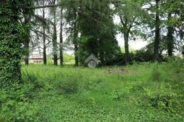 casa indipendente in vendita a Spinea