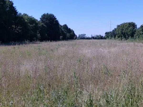 terreno agricolo in vendita a Spinea
