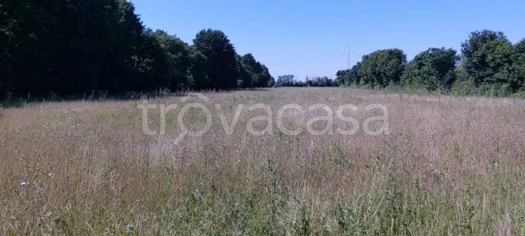 terreno agricolo in vendita a Spinea