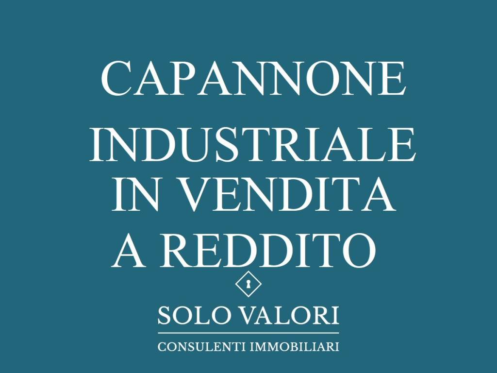capannone in vendita a Spinea