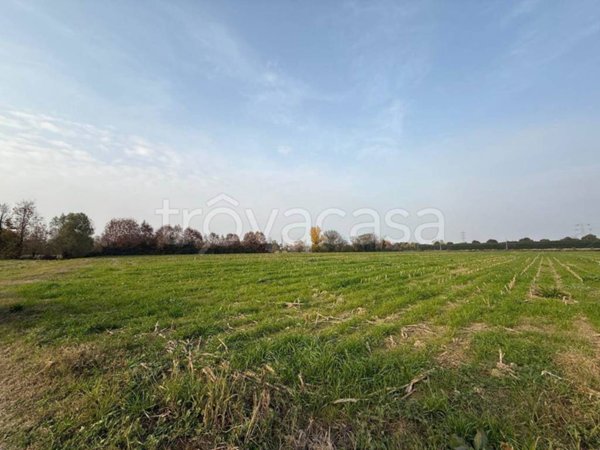 terreno edificabile in vendita a Spinea