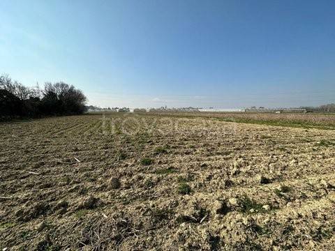 terreno agricolo in vendita a Spinea