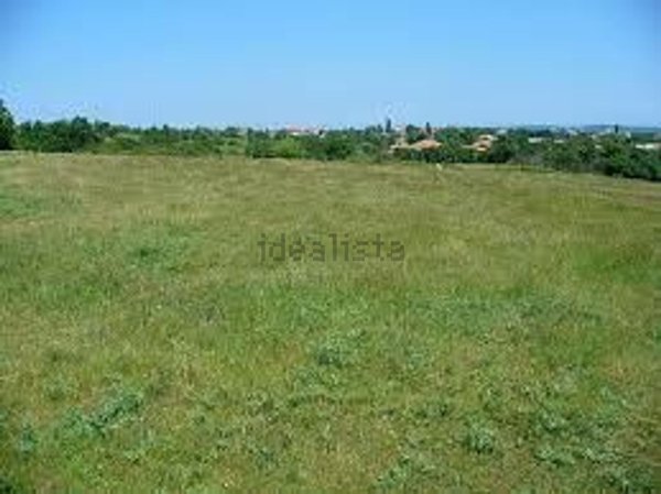 terreno agricolo in vendita a Spinea