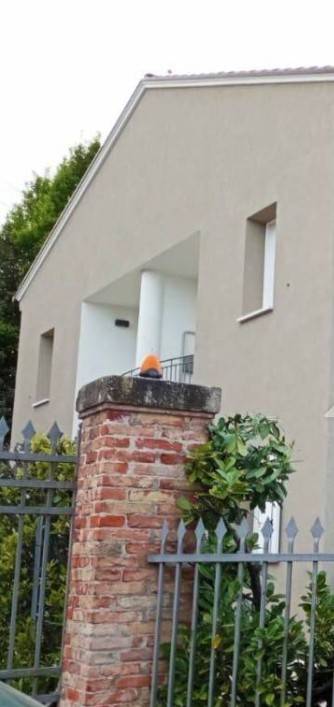 casa indipendente in vendita a Spinea