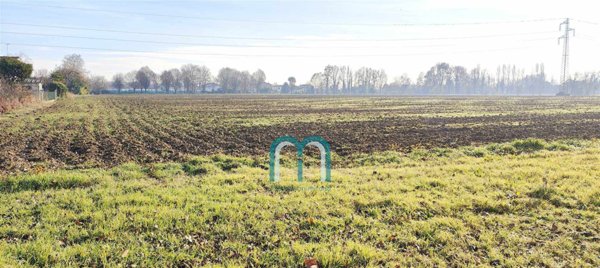 terreno agricolo in vendita a Spinea