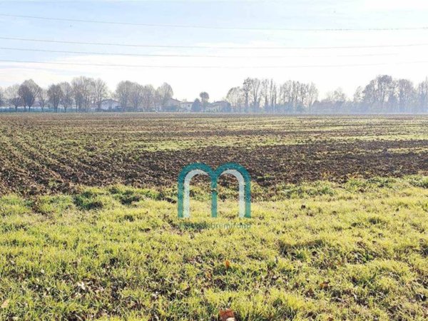 terreno agricolo in vendita a Spinea