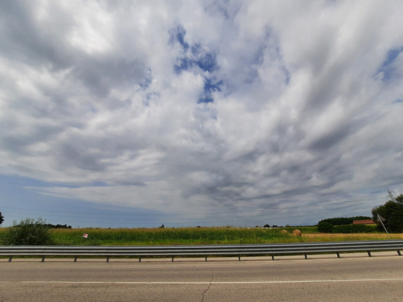 terreno agricolo in vendita a Spinea