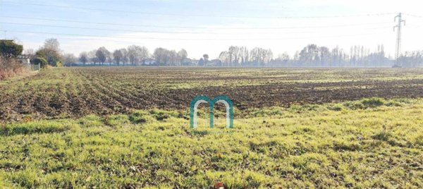 terreno agricolo in vendita a Spinea