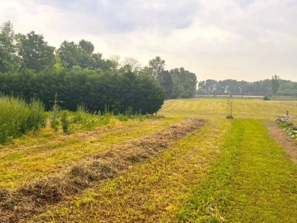 terreno agricolo in vendita a Spinea