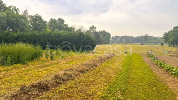 terreno agricolo in vendita a Spinea