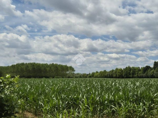 terreno agricolo in vendita a Spinea