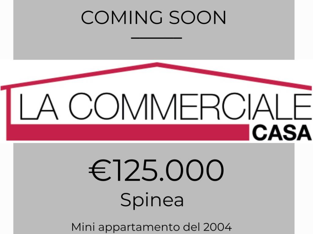 appartamento in vendita a Spinea