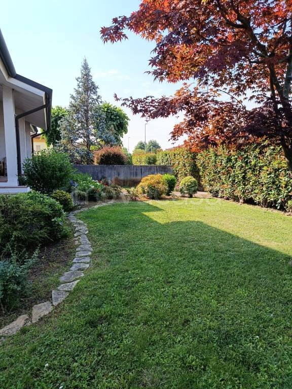 casa indipendente in vendita a Spinea