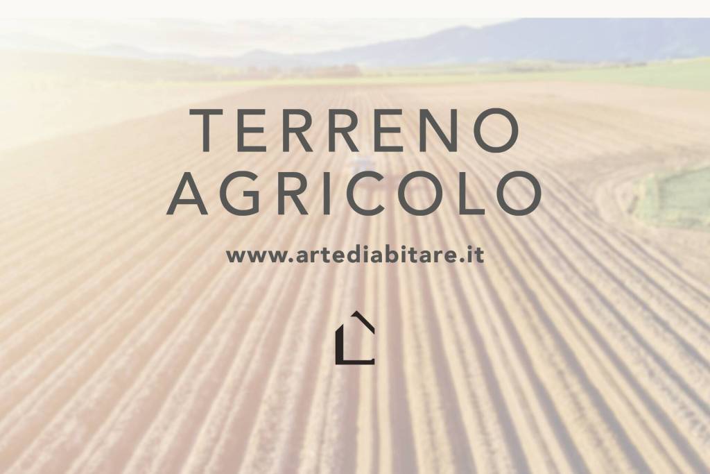ufficio in vendita a Spinea