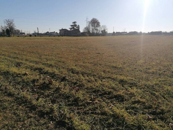 terreno agricolo in vendita a Stra in zona Paluello