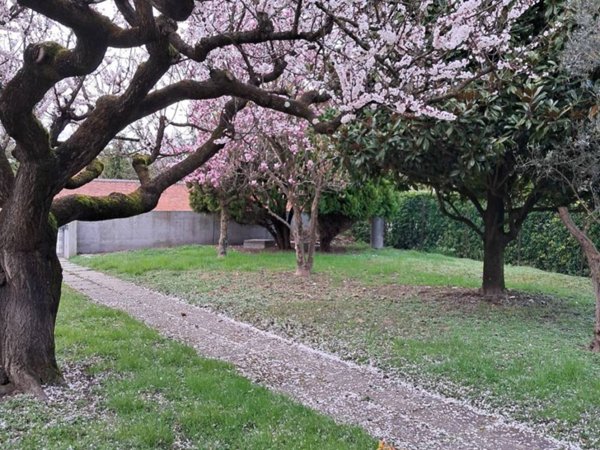 casa indipendente in vendita a Stra