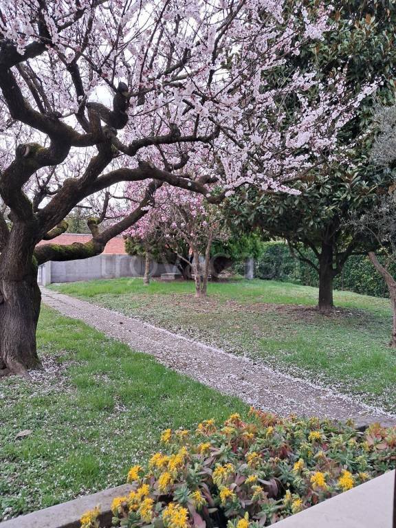 casa indipendente in vendita a Stra in zona San Pietro