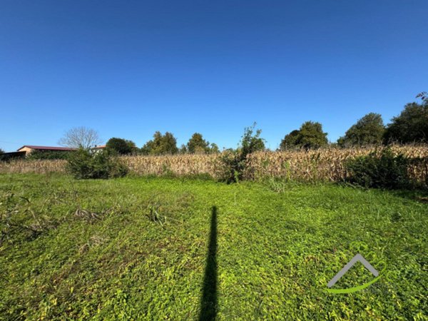 casa indipendente in vendita a Stra in zona Paluello