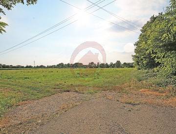 terreno agricolo in vendita a Stra