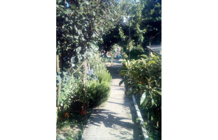 casa indipendente in vendita a Stra in zona Paluello