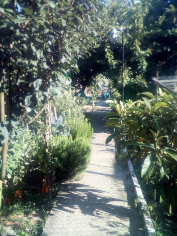 casa indipendente in vendita a Stra in zona Paluello