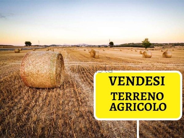 terreno agricolo in vendita a Stra in zona San Pietro