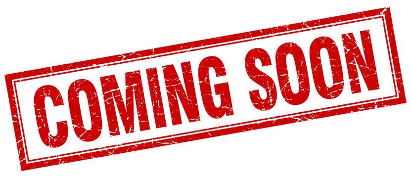 casa indipendente in vendita a Stra