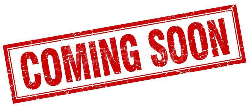 casa indipendente in vendita a Stra