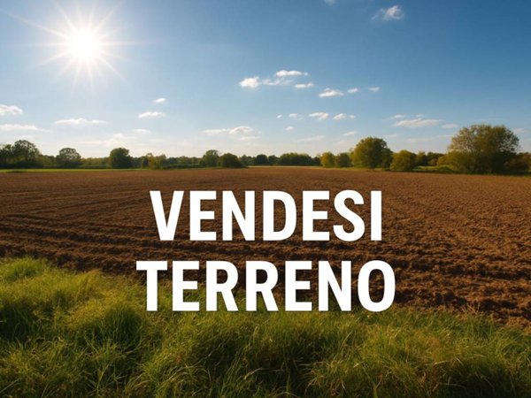 casa indipendente in vendita a Stra