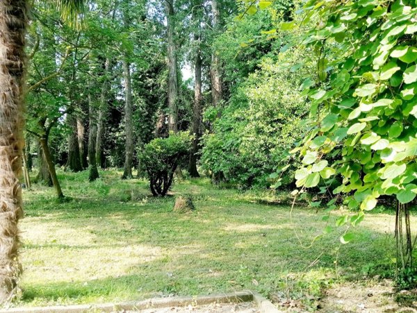 casa indipendente in vendita a Stra in zona San Pietro