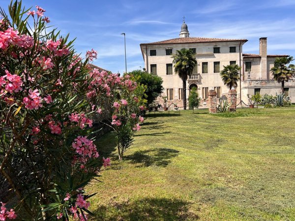 casa indipendente in vendita a Stra in zona Paluello