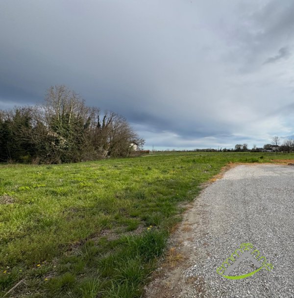 terreno agricolo in vendita a Stra in zona Paluello