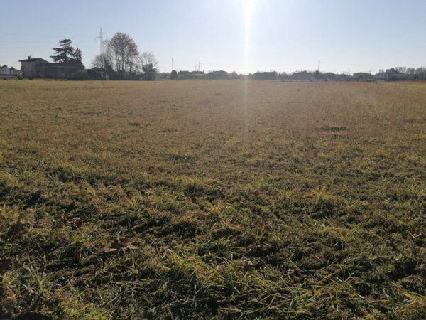 terreno in vendita a Stra in zona San Pietro
