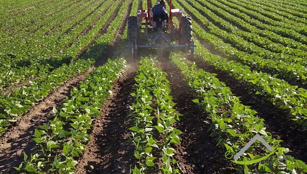 terreno in vendita a Stra in zona San Pietro