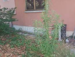 appartamento in vendita a Torre di Mosto