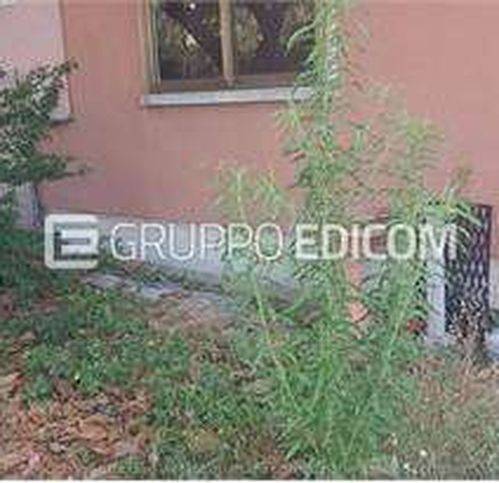 casa indipendente in vendita a Torre di Mosto