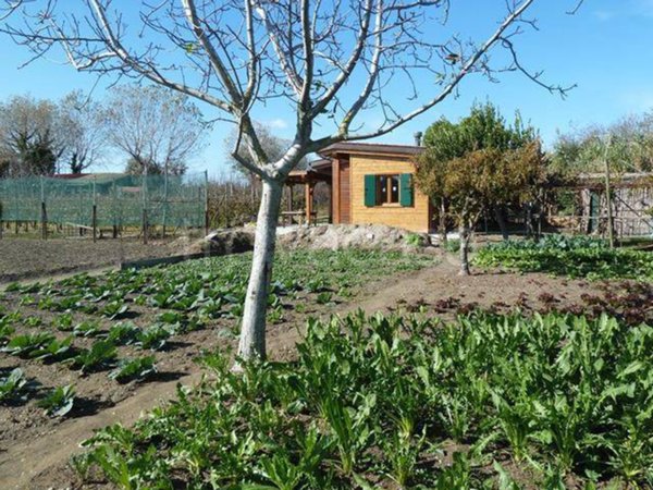 terreno agricolo in vendita a Venezia in zona Lido di Venezia