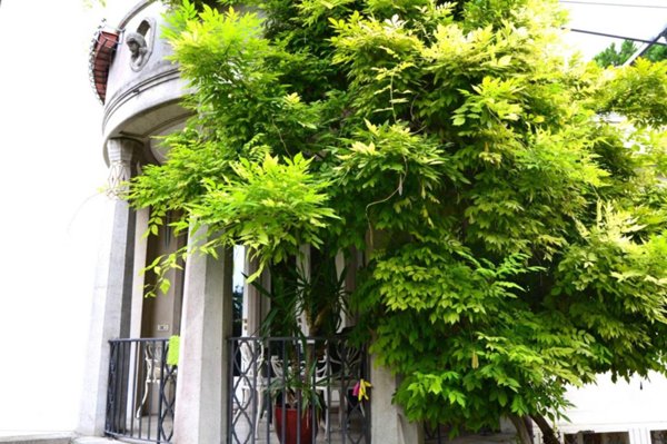 casa indipendente in vendita a Venezia in zona Pellestrina