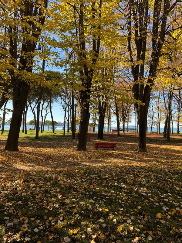 appartamento in vendita a Venezia in zona Sestiere San Marco