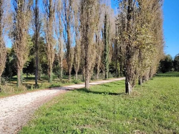 casa indipendente in vendita a Venezia in zona Mestre
