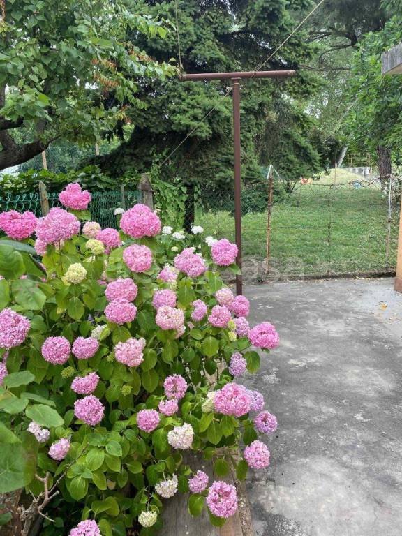 casa indipendente in vendita a Venezia in zona Favaro Veneto