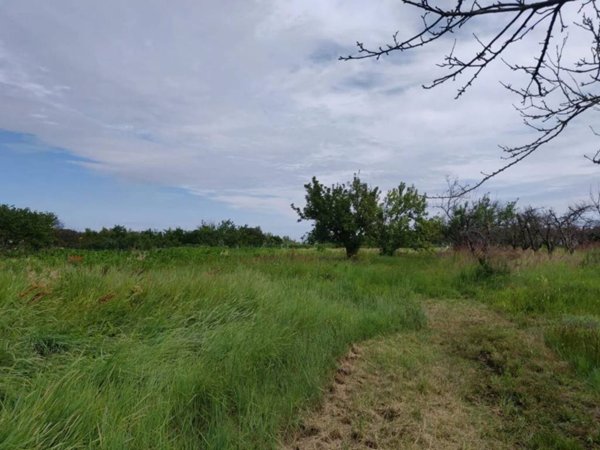 terreno agricolo in vendita a Venezia in zona Sant'Erasmo
