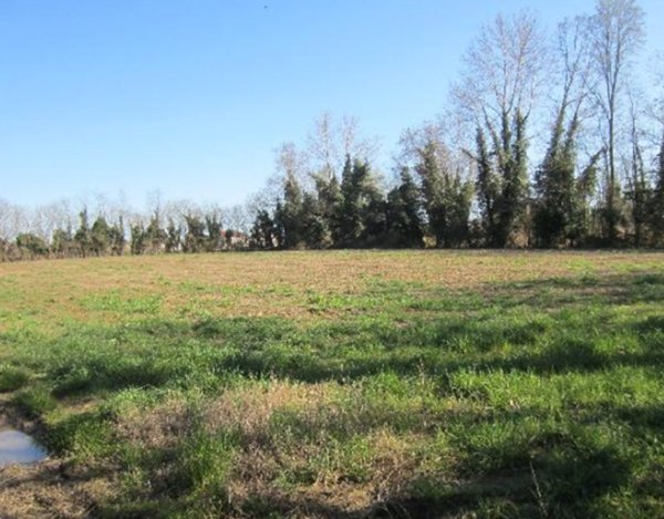 terreno agricolo in vendita a Venezia
